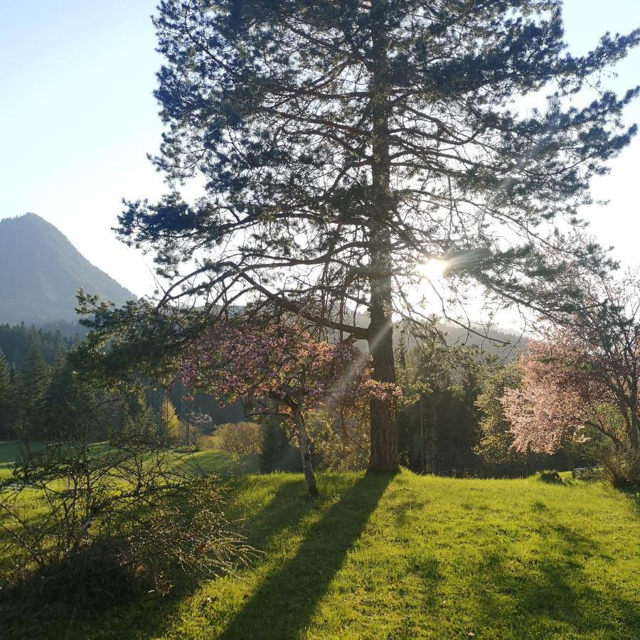 Ferienwohnung Remise Am Reitl Fieberbrunn Bagian luar foto