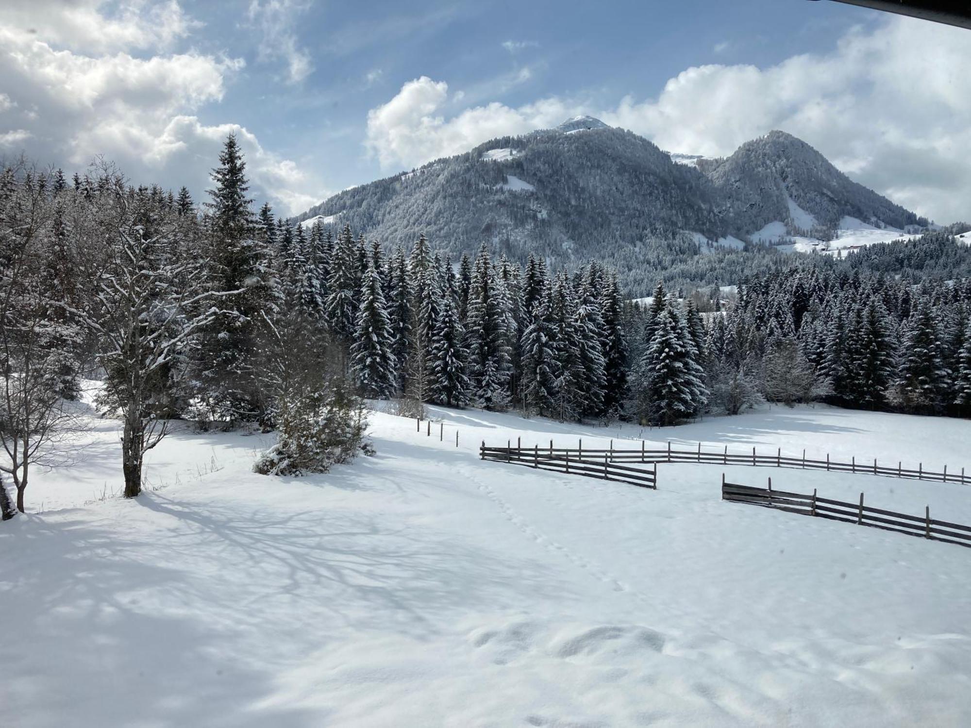Ferienwohnung Remise Am Reitl Fieberbrunn Bagian luar foto